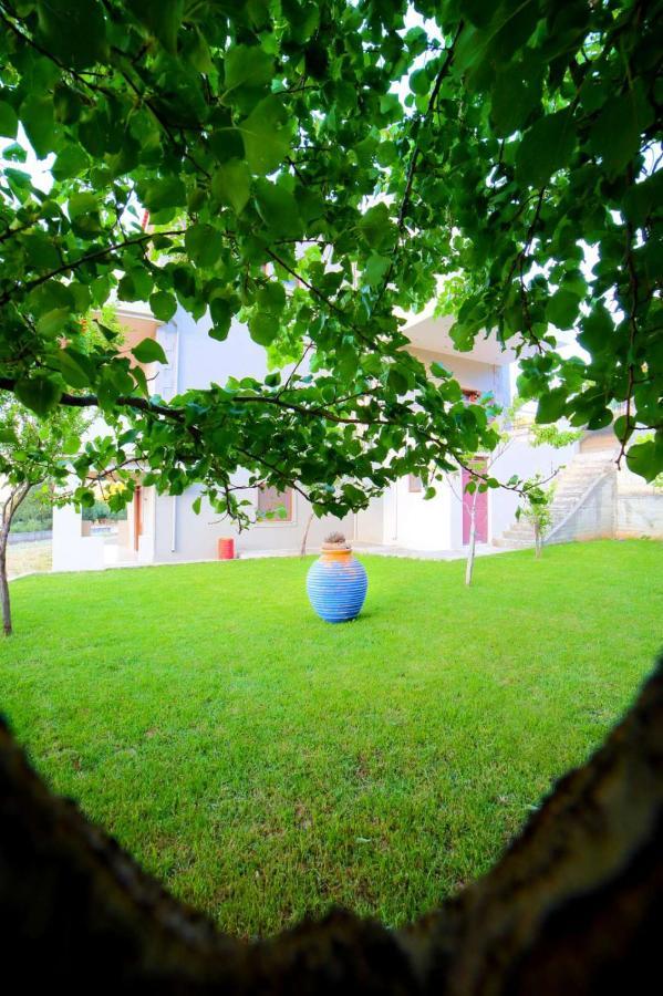 Villas Metoxi Káto Aszítesz Kültér fotó